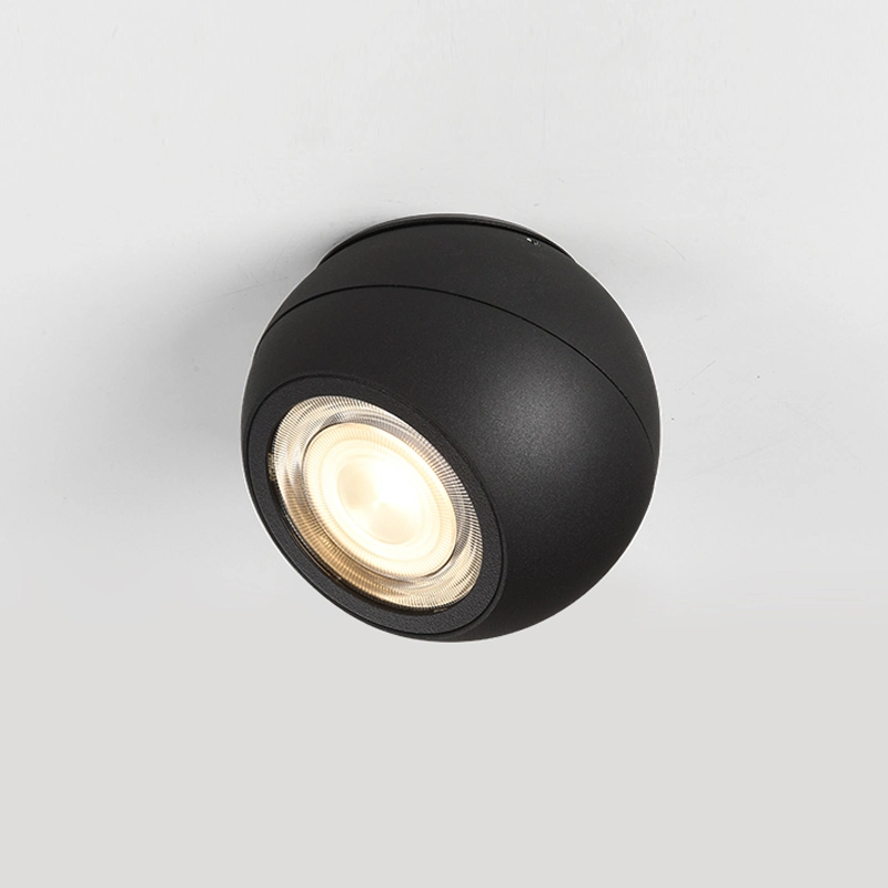 12W Round Fashion Decorative COB Spotlight LED Ceiling Light