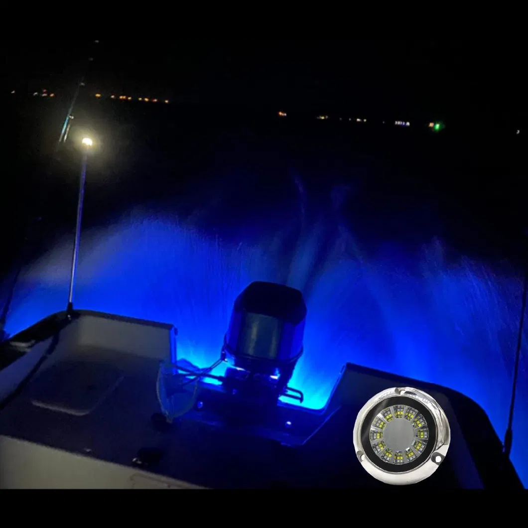 Superyacht Waterproof IP68 Blue White Marine Underwater LED Light 316ss for Boat