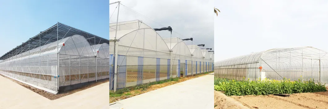 Agroculture Sunlight Planting Tunnel Film Greenhouse