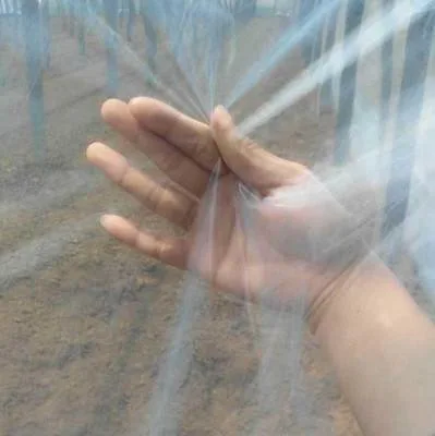 Agroculture Sunlight Planting Tunnel Film Greenhouse