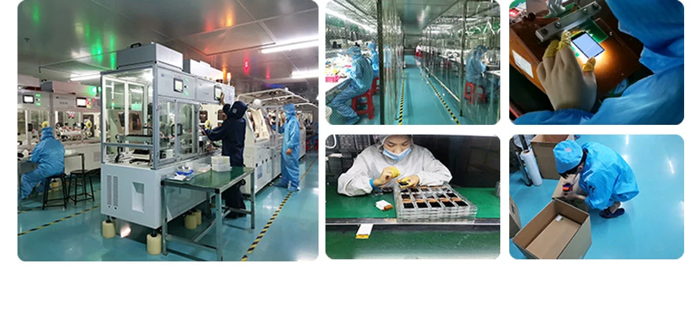 Shenzhen Manufacturer Sunlight Readable 1280X800 Pixels 10.1 TFT Display Screen for Smart Home