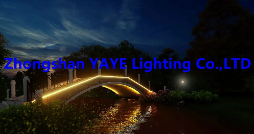 Yaye Solar Factory Supplier 50W 5m High Quality Outdoor Waterproof IP65 Single Color LED Strip Garden Christmas Holiday Landscape Decorative Light Manufacturer