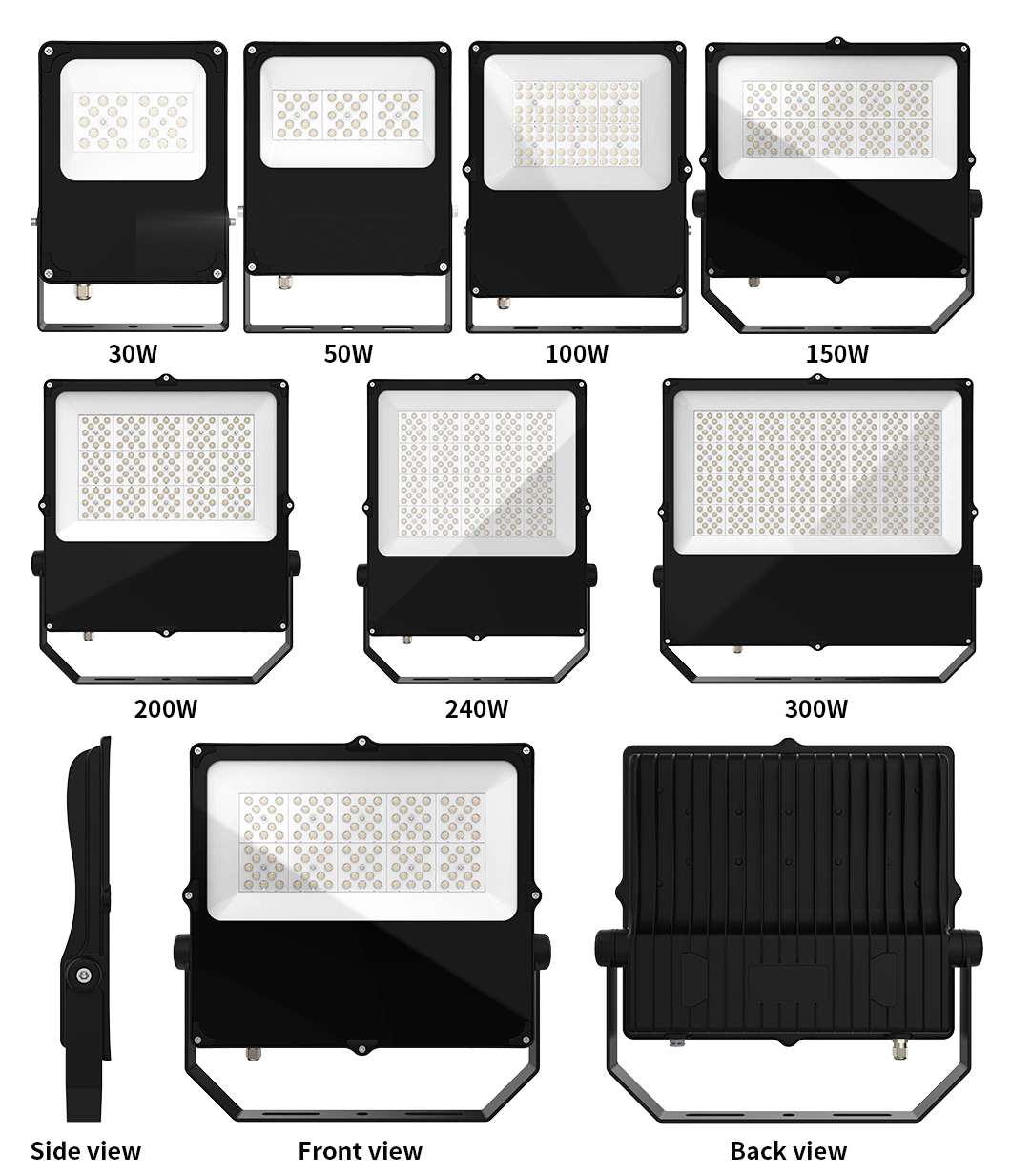 Whole Family LED Floodlight 30W 50W 80W 100W 120W 150W 200W 240W Lighting LED Sports Flood Light