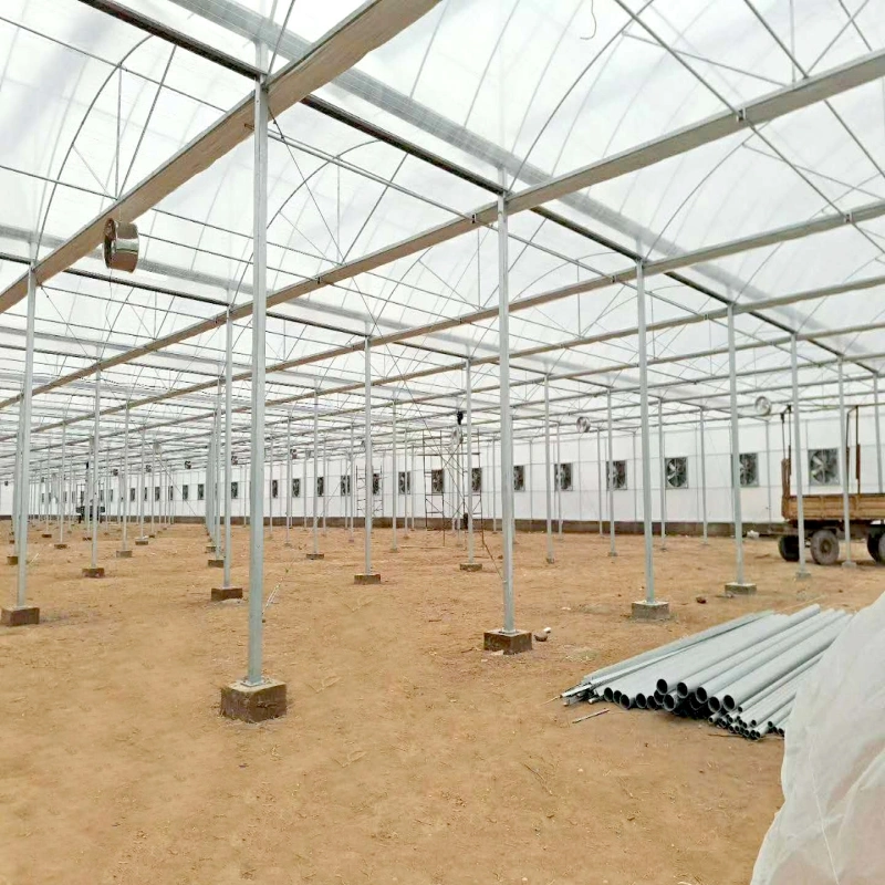 Agroculture Sunlight Planting Tunnel Film Greenhouse