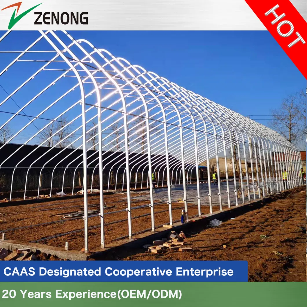 Active Heat Stoarge and Release System Solar Po Film Sunlight Greenhouse