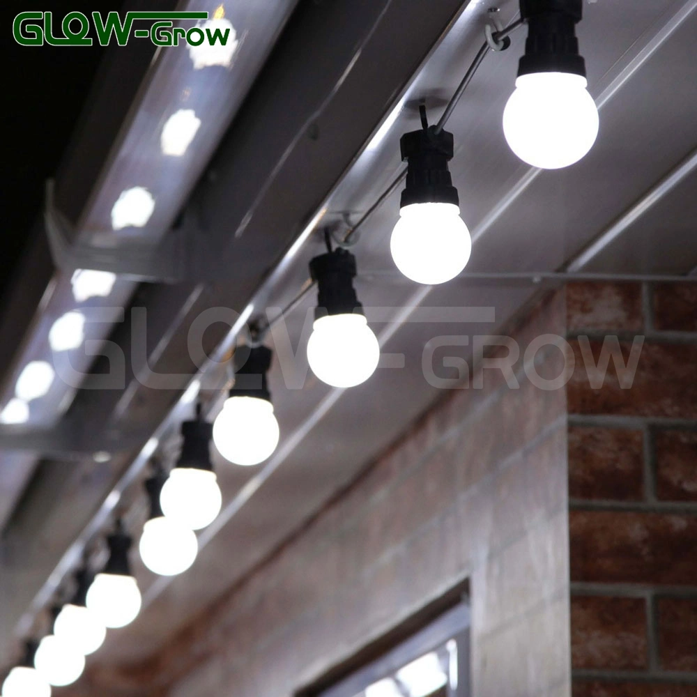 Warm White Shatterproof Globe String Light IP44 Waterproof LED Festoon String Light for Party Garden Backyard Home Christmas Holiday Decoration