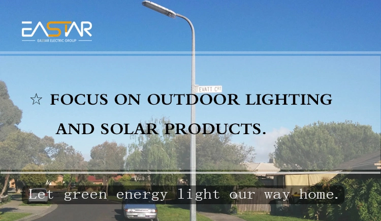 Steel Octagonal Solar Road Traffic LED Powder Coating Street Lighting/Light Pole