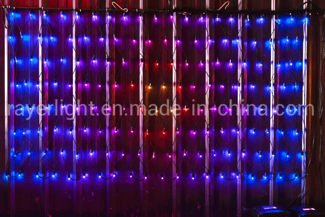 Flashing Christmas Addressable RGB LED Intelligent Net Lights