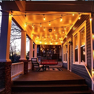 Vintage LED Festoon String Lights