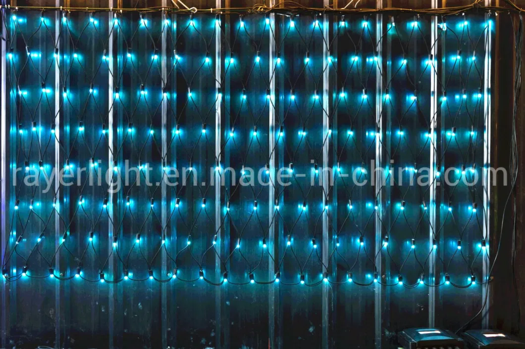 Flashing Christmas Addressable RGB LED Intelligent Net Lights