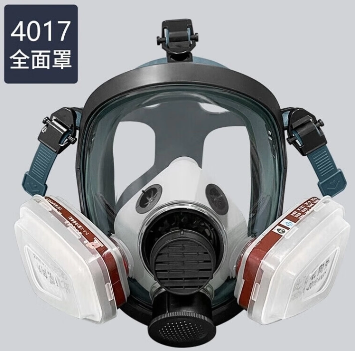 Dual Anti Paint Chemical Dust Smoke Smog Gas Full Face Shield Protective Mask