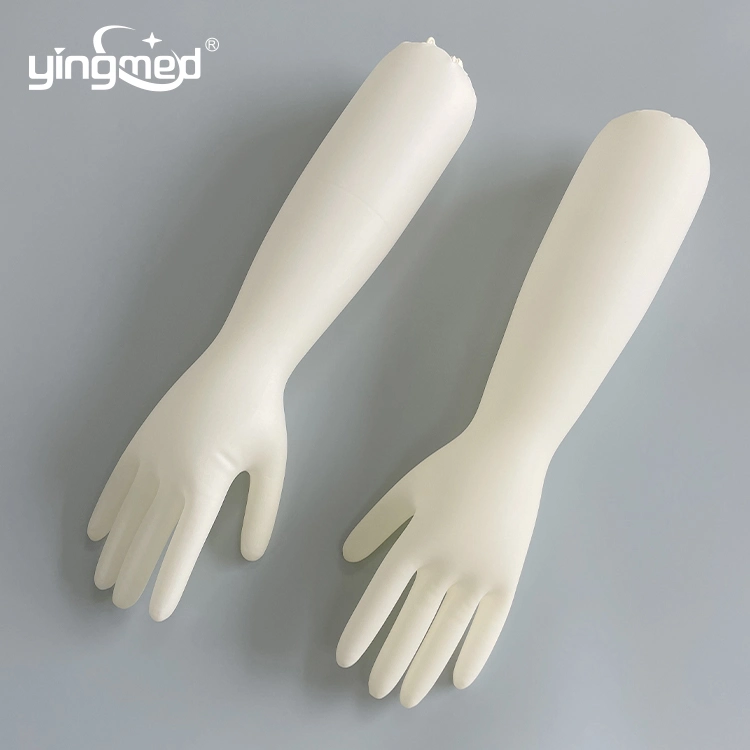 New Products Gynecological Elbow Length Powdered Breathable Latex Gloves