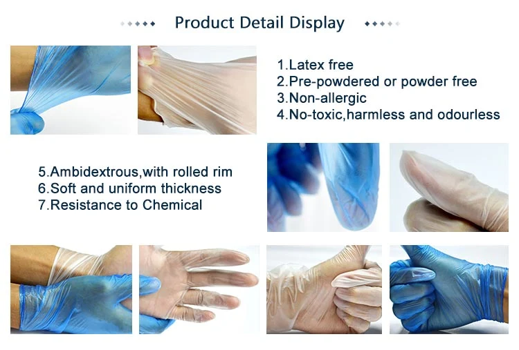 Latex Free Vinyl Examination Gloves Disposable Food Handle Vinyl Gloves