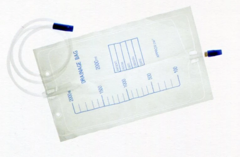 Disposable Sterilize Urine Bag Urine Collection Drainage Bag 2000ml with Push-Pull Valve