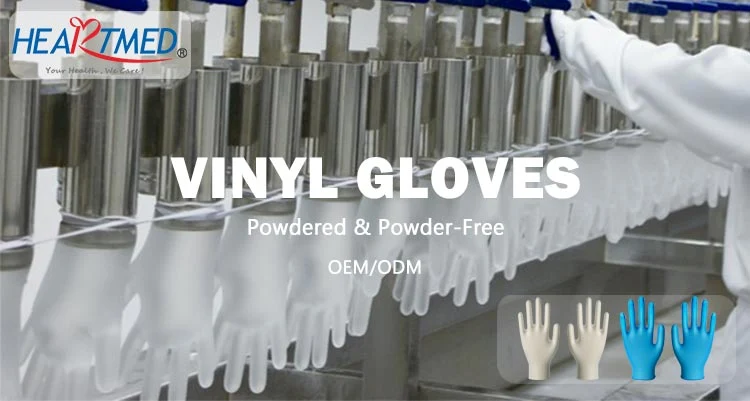 Latex Free Vinyl Examination Gloves Disposable Food Handle Vinyl Gloves