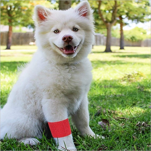 Skin Veterinary Free Samples CE FDA Pet Self Adhesive Waterproof High Cohesive Elastic Bandage