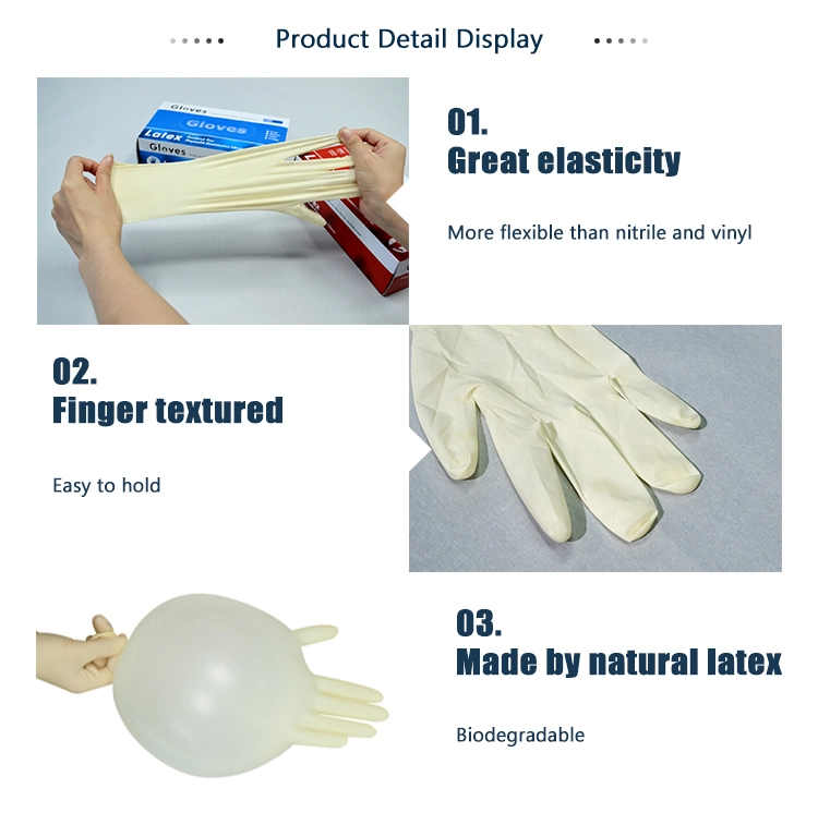 Malaysia Latex Examination Gloves Powder or Powder Free Latex Gloves