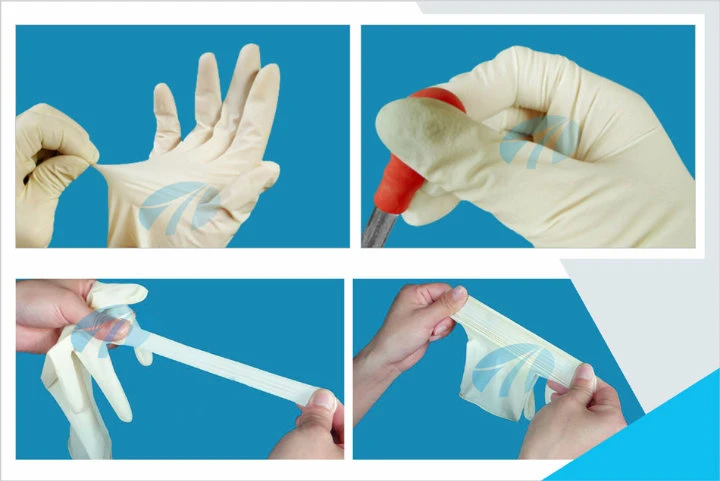 Malaysia Price Medical Grade Disposable Latex Examination Gloves