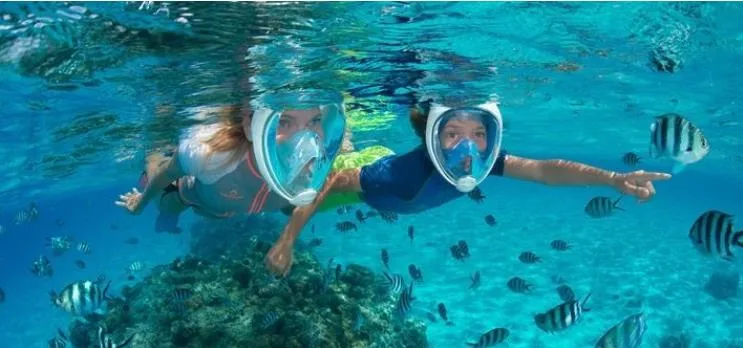 Full Face Snorkel Mask Easy Breathing Snorkeling Anti-Fog Scuba Diving Masks