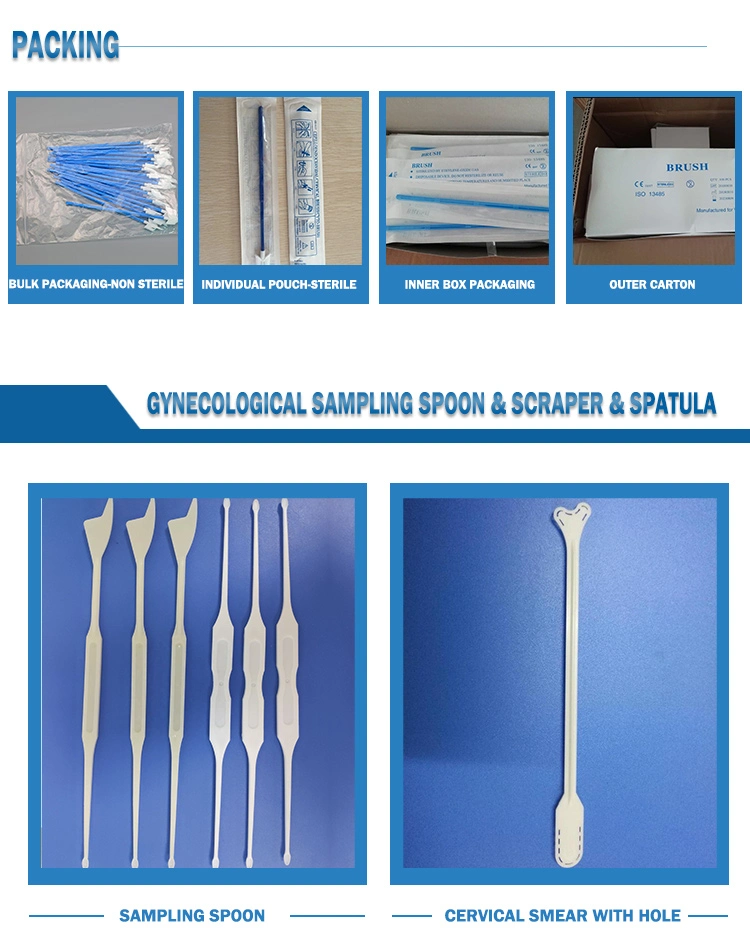 High Quality Cheap Price Wholesale Medical Disposable Plastic Vaginal Speculum