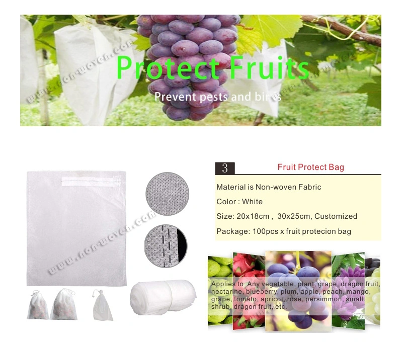 Fruit Protection Sleeves