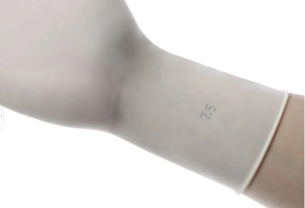 Sterile Latex Surgical Gloves Powder &amp; Powder Free Eo &amp; Gamma Radiation