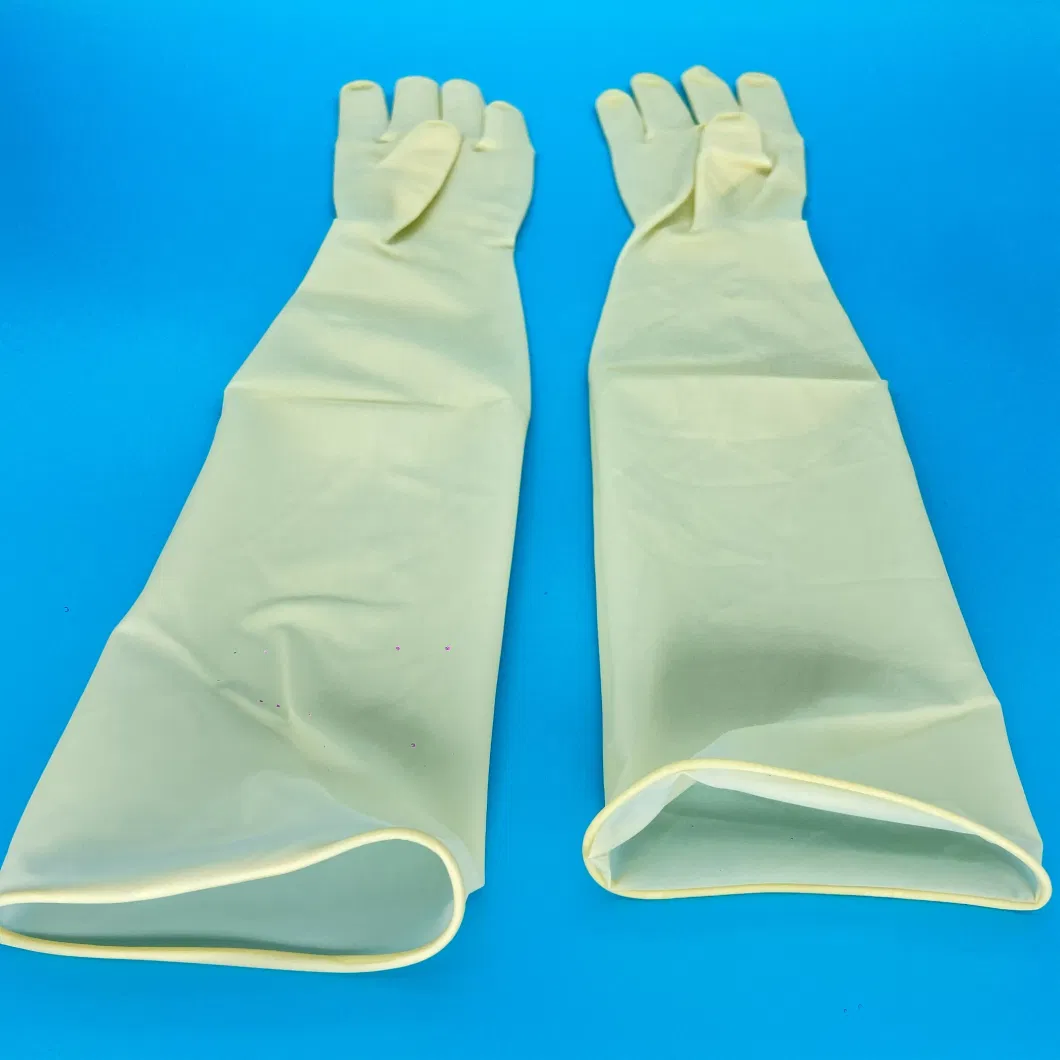 2023 Hot Selling Medical Sterile Disposable Powdered Latex Gynecological Glove