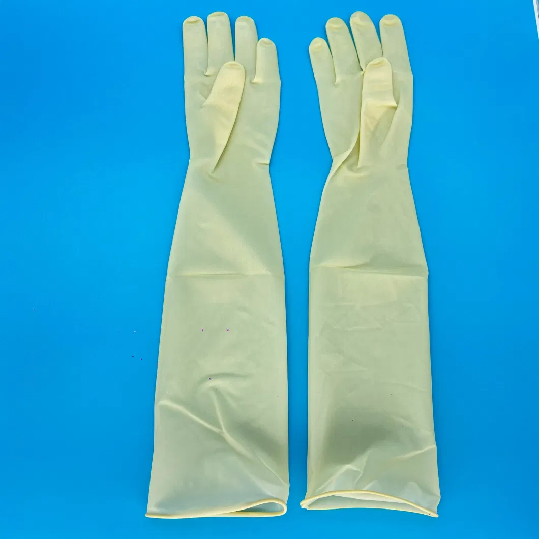 2023 Hot Selling Medical Sterile Disposable Powdered Latex Gynecological Glove