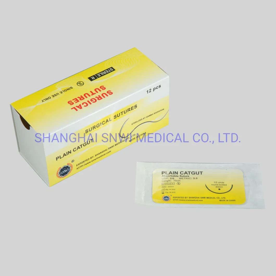 CE&ISO Certification Single, Double, Triple, Quadruple Type Medical Disposable Plastic Blood Bags with Factory Price