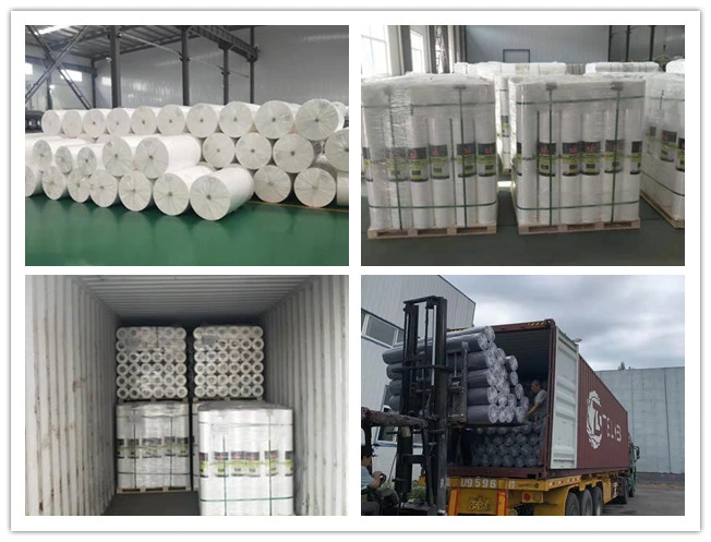 Environmental Friendly PP Spunbond Non Woven Fabric Used for Bed Sheet, Cap, Apron, Mat, Wradrobe, Storage Box, Coverall, Pad, Tote, Tape
