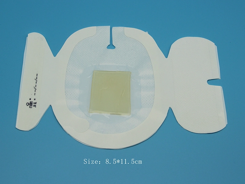 Sterile Medical Transparent PU Film Chg IV Cannual Fixing Dressing