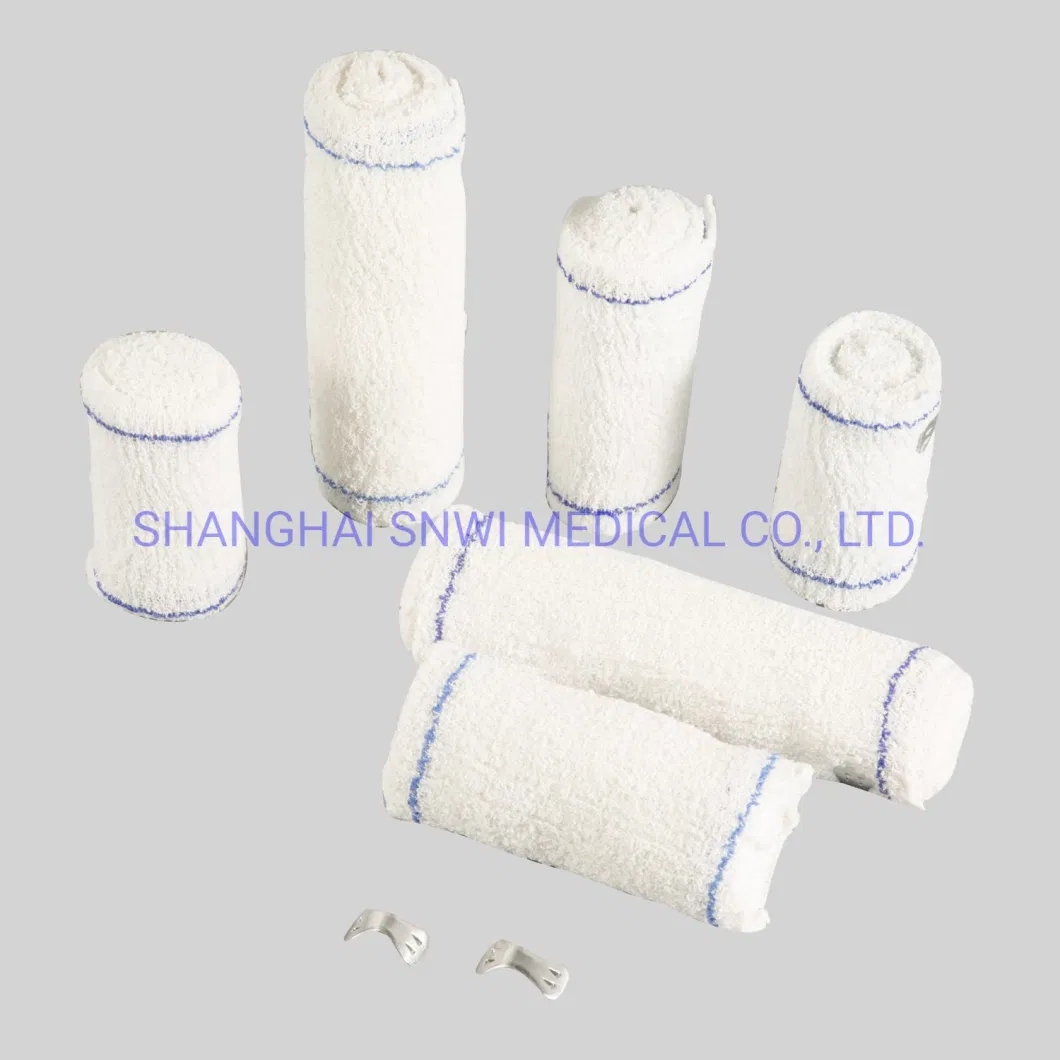 CE&ISO Certification Single, Double, Triple, Quadruple Type Medical Disposable Plastic Blood Bags with Factory Price
