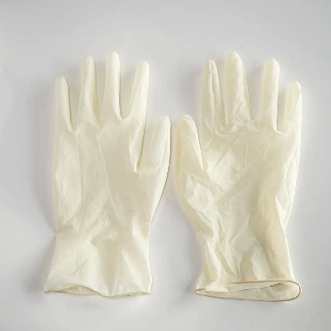 Sterilized Disposable Latex Examination Gloves Powder or Powder Free