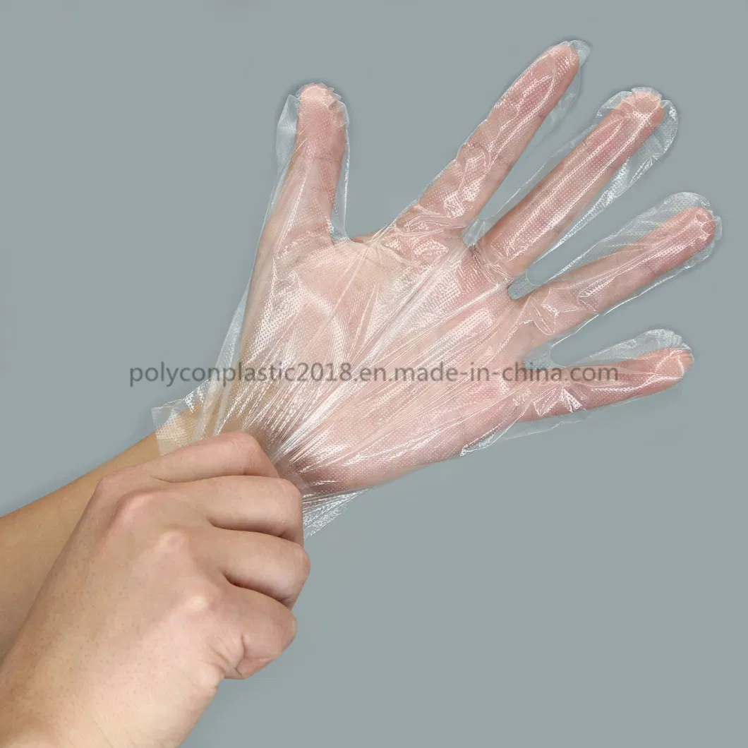 Disposable PE TPE Gloves for Household Healthcare Food Service Processing Industry