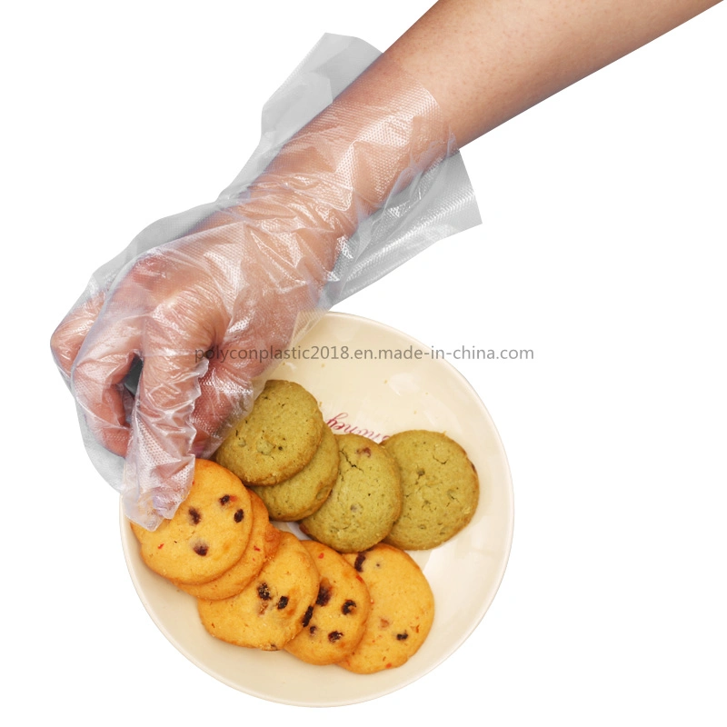 Disposable PE TPE Gloves for Household Healthcare Food Service Processing Industry