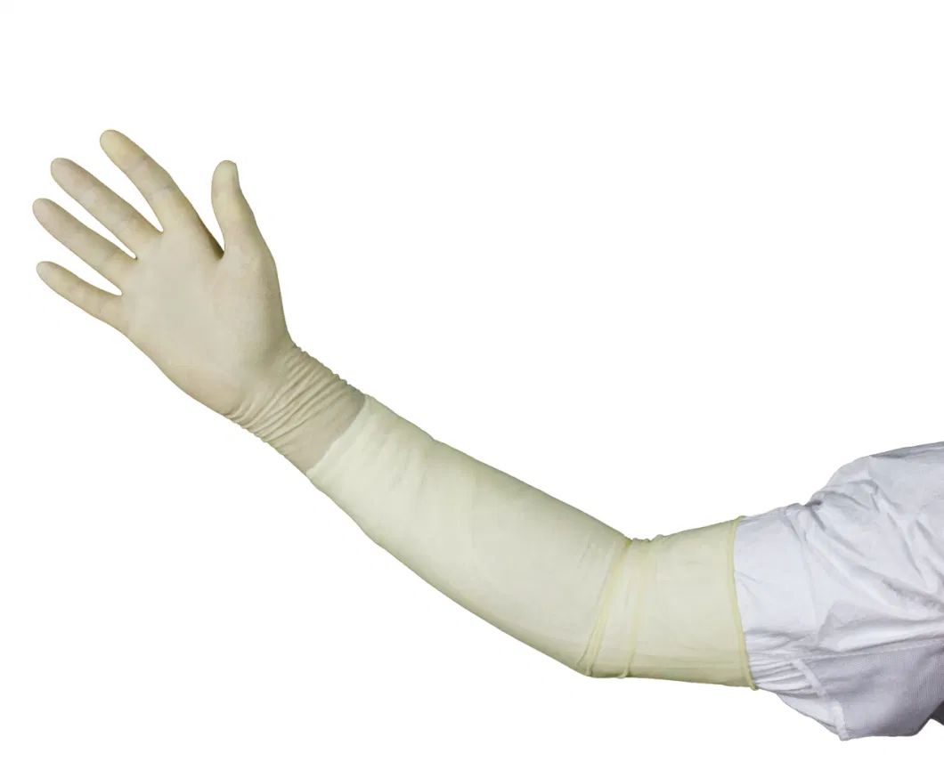 18 Inches (&gt;400mm) Disposable Latex Gynecological / Obstetric Gloves /Elbow Length Powder or Powder Free