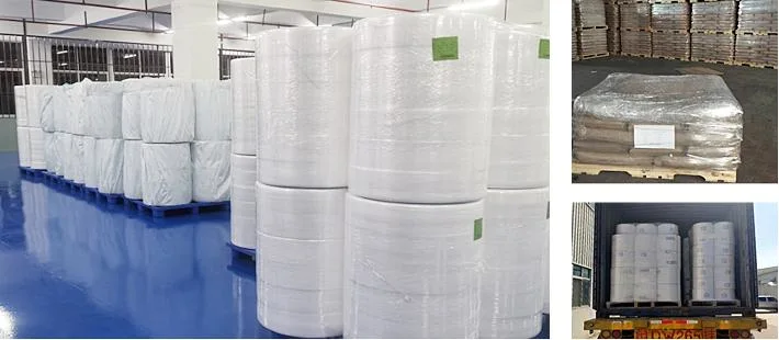 Free Sample Breathable PE Polypropylene Film Back-Sheet Film Baby Diaper Raw Material