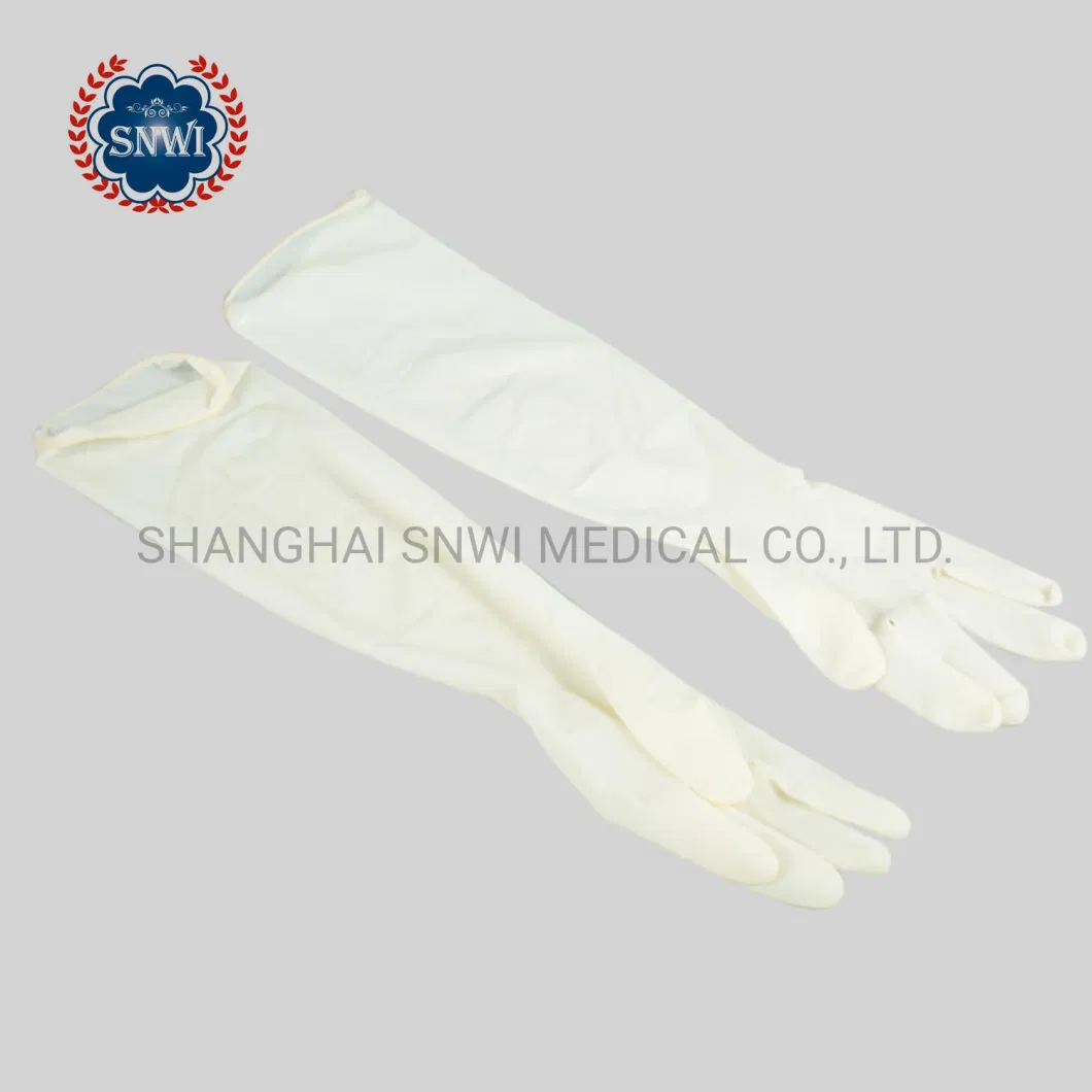 in Stock Medical Grade Glove Latex Examination or Surgical Disposable Gloves