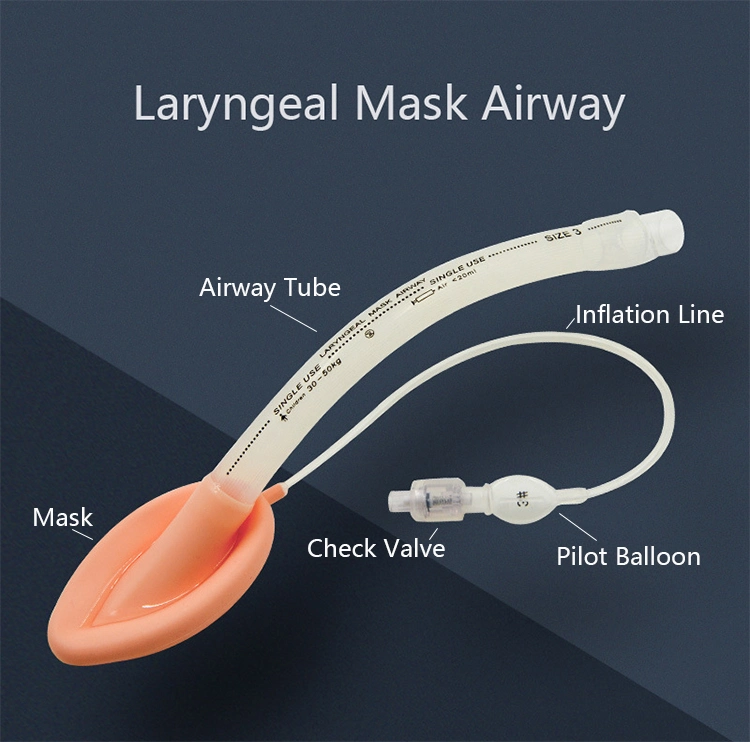 Orcl Manufacturer Wholesale Silicone Reusable Reinforced Easy Laryngeal Airway Mask