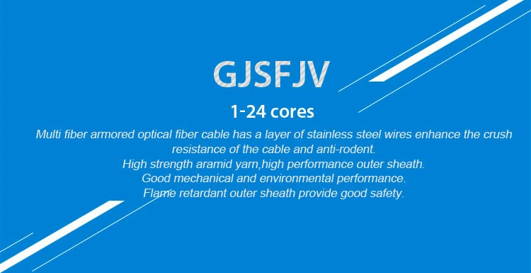 China Supply Indoor Simplex Armored Indoor Multi Core Fiber Optic Cable