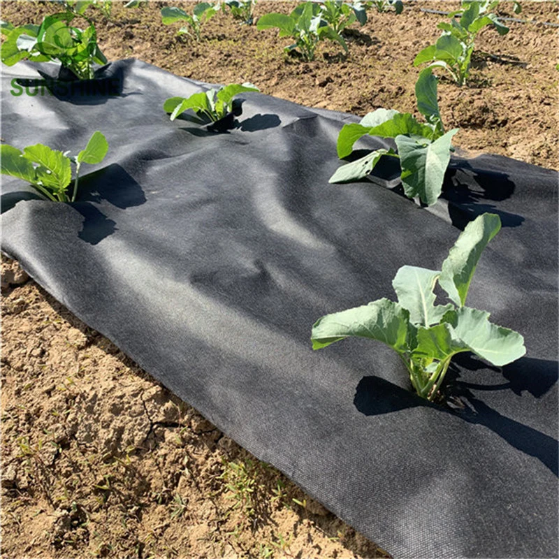 Agricultural Cover White 100%PP Spunbond Nonwoven Fabric Protect Plant Cover