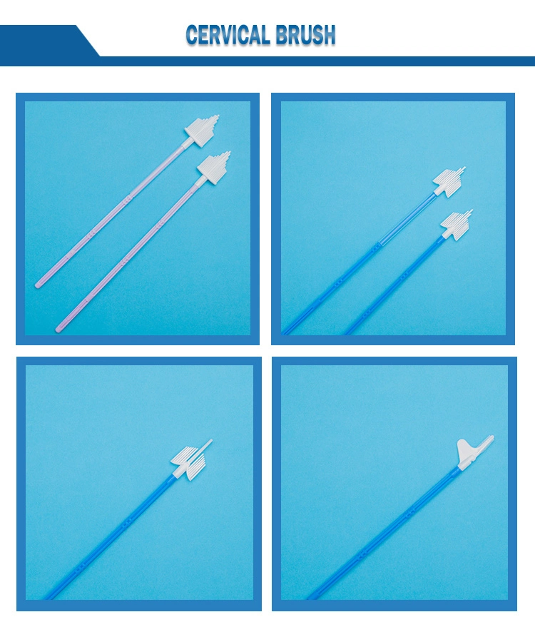 Disposable Sterile Plastic Vaginal Speculum With Side Screw Of Different Sizes