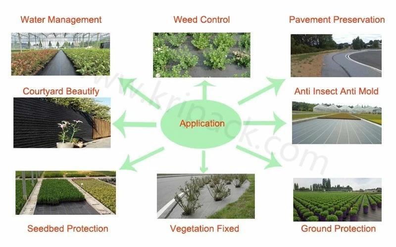 China Manufacturer UV Treated Agriculture Weed Barrier PP Woven Fabric Anti Weed Mat Weed Control Ground Cover for Blueberry