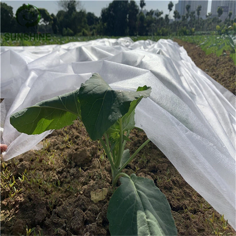 Agricultural Cover White 100%PP Spunbond Nonwoven Fabric Protect Plant Cover