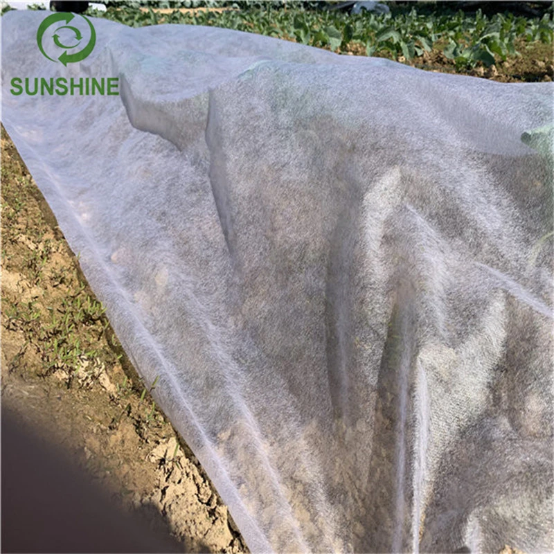 Agricultural Cover White 100%PP Spunbond Nonwoven Fabric Protect Plant Cover