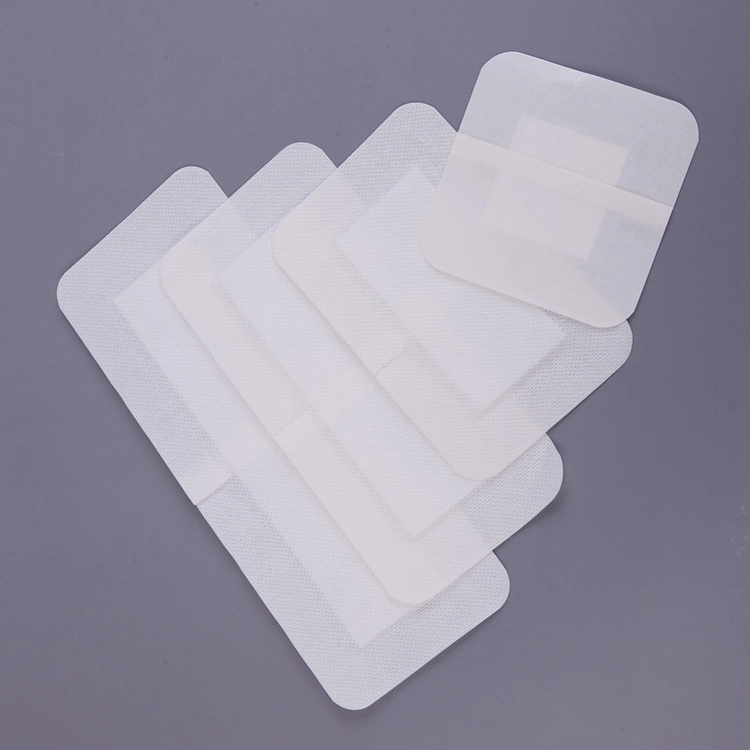 Eo Sterilize Spunlace Non Woven Waterproof Self Adhesive Wound Dressing with Pad