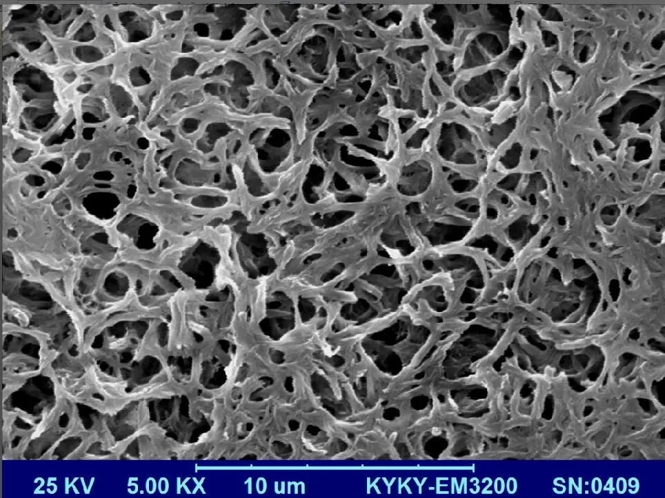 Mce Mesh Membrane Microporous Filter Laboratory Filter Membrane Paper
