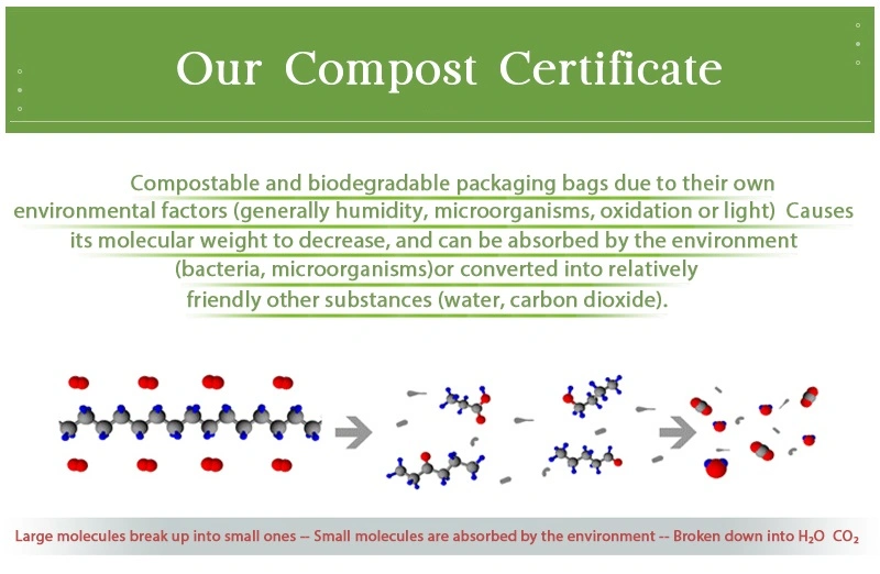 100%Biodegradable Compostable Apron, Disposable Pbat PLA Cornstarch Plastic Apron