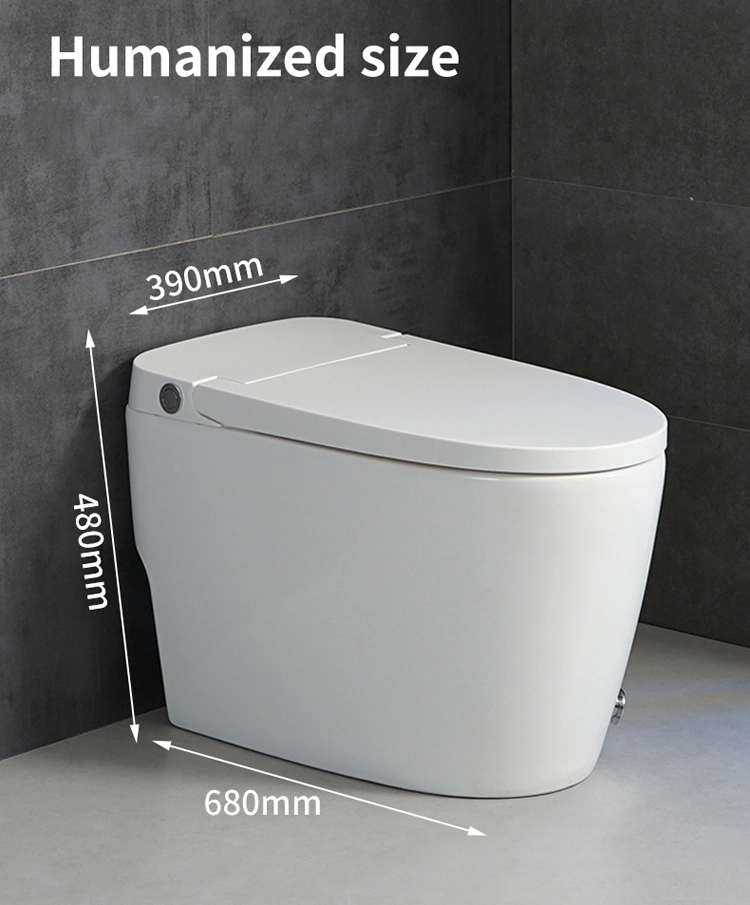 Smart Toilet Bidet with Strong Flushing