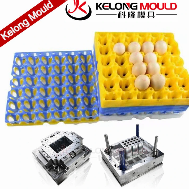 Huangyan Plastic Egg Tray Mould Household Injection Moulds